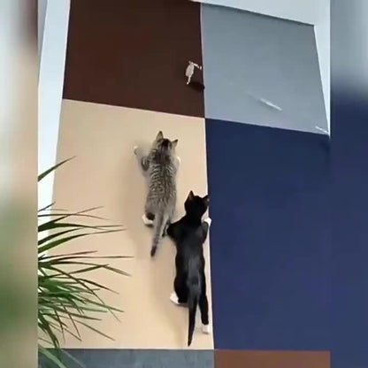 Durable Cat Scratching Pad - Self-Adhesive, Scratch-Resistant Felt Mat for Walls and Furniture, Ideal for Cats, Polyester Material - Multi-Size Pack