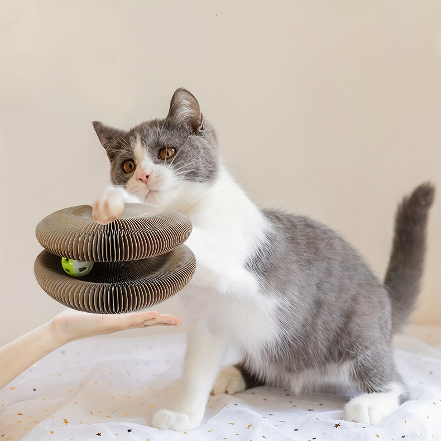Interactive Cat Scratcher Interactive, Durable Foldable Magic Organ Cat Scratching Board with Cat Ball Toy | High-Quality Cardboard Cat Scratcher for Indoor Play, Pet Claw Care, and Space-Saving Design, Brown, Cat Toys